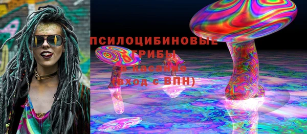 спиды Няндома