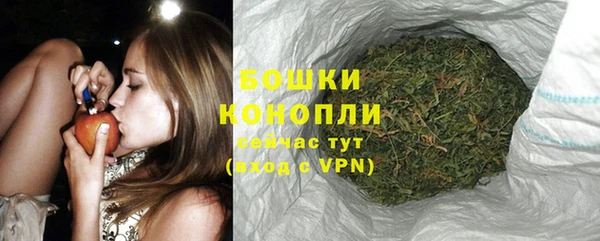 спиды Няндома