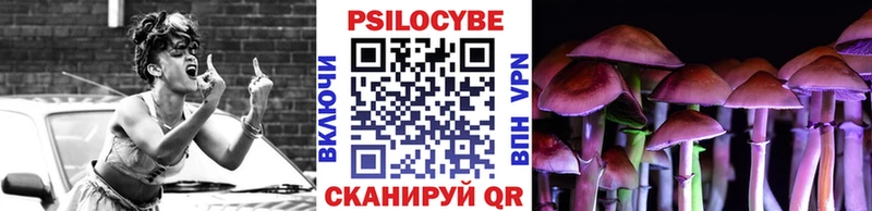 Псилоцибиновые грибы мицелий  продажа наркотиков  Пучеж 